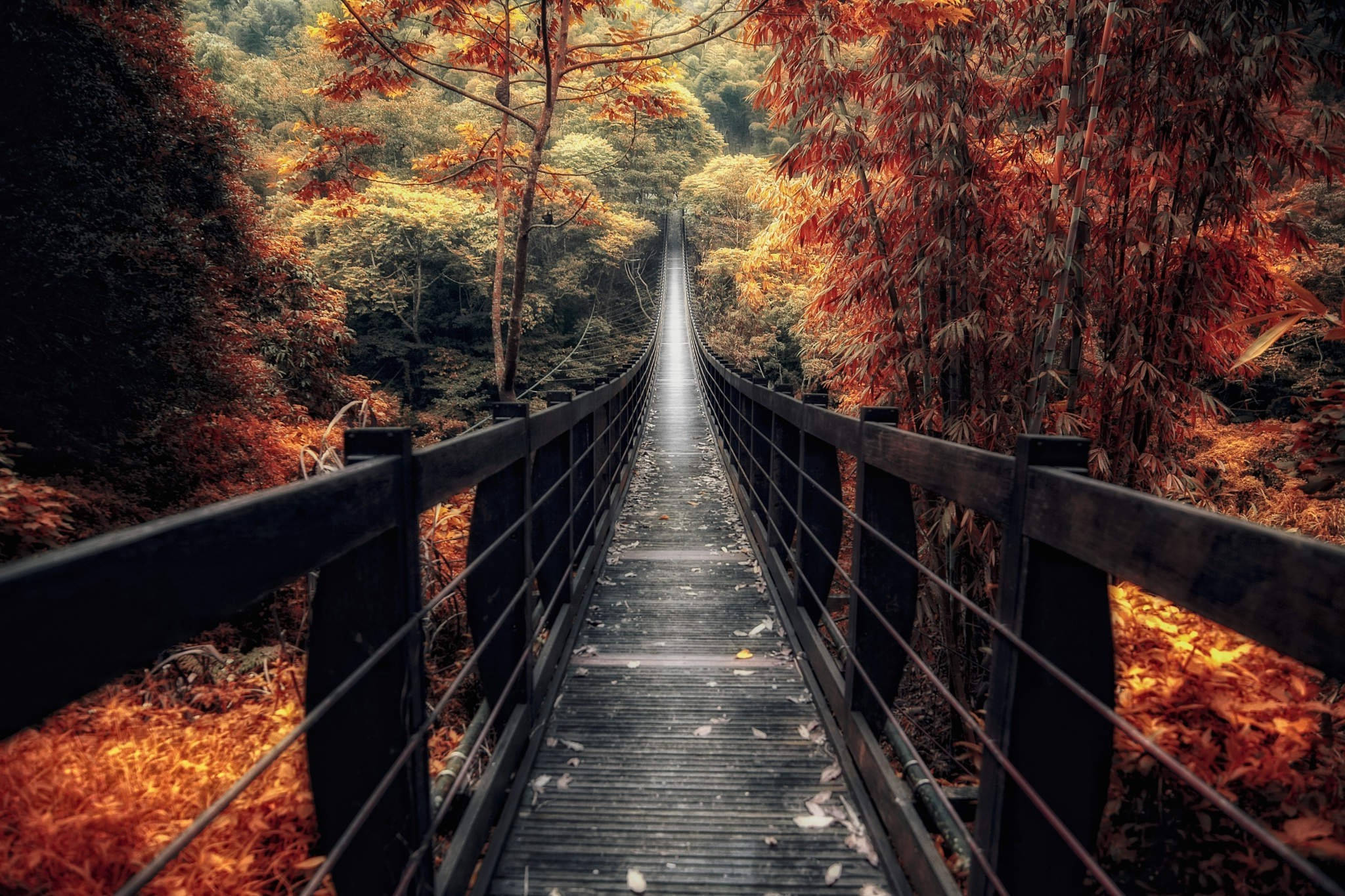 Fullscreen Image